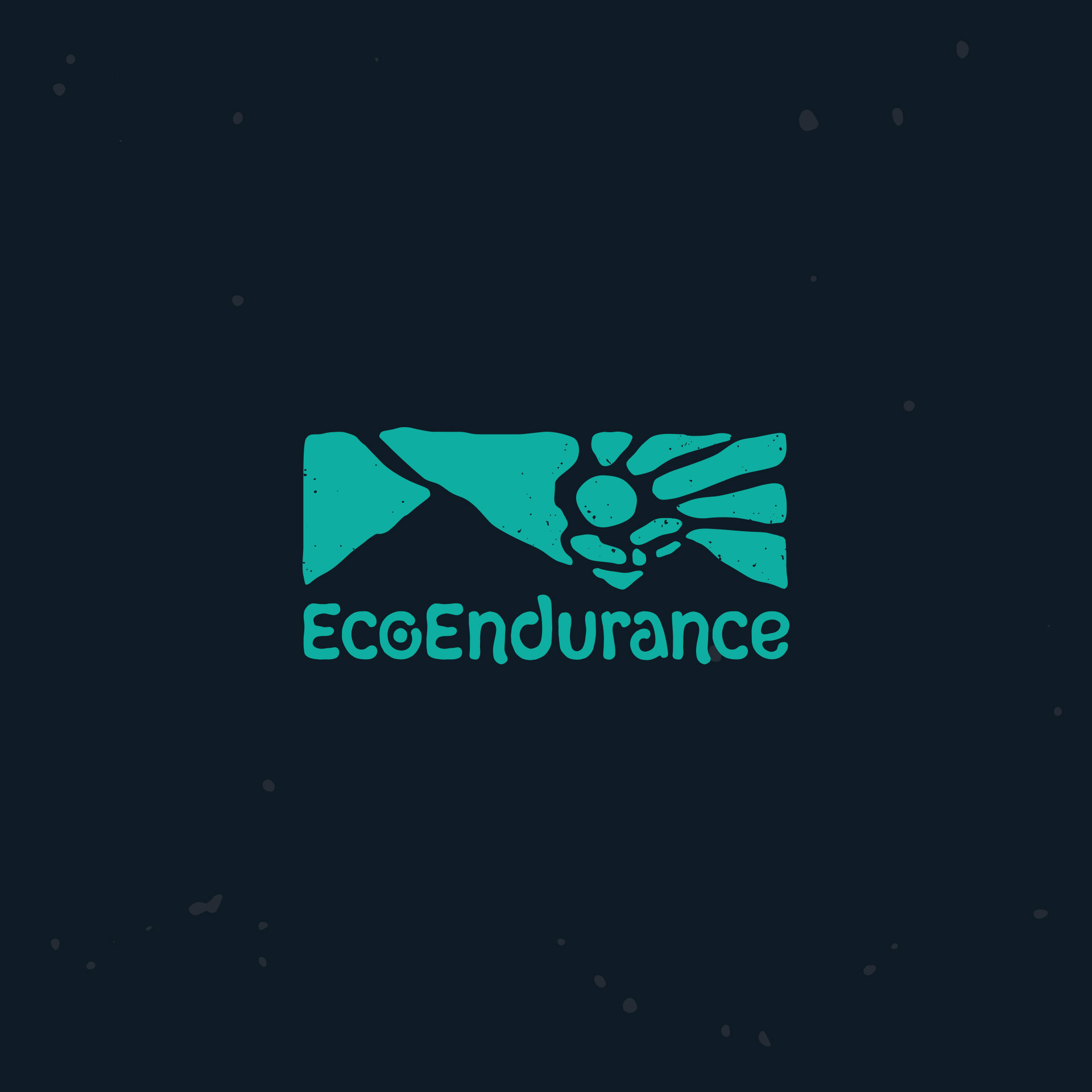 EcoEndurance | Running Expedition Branding