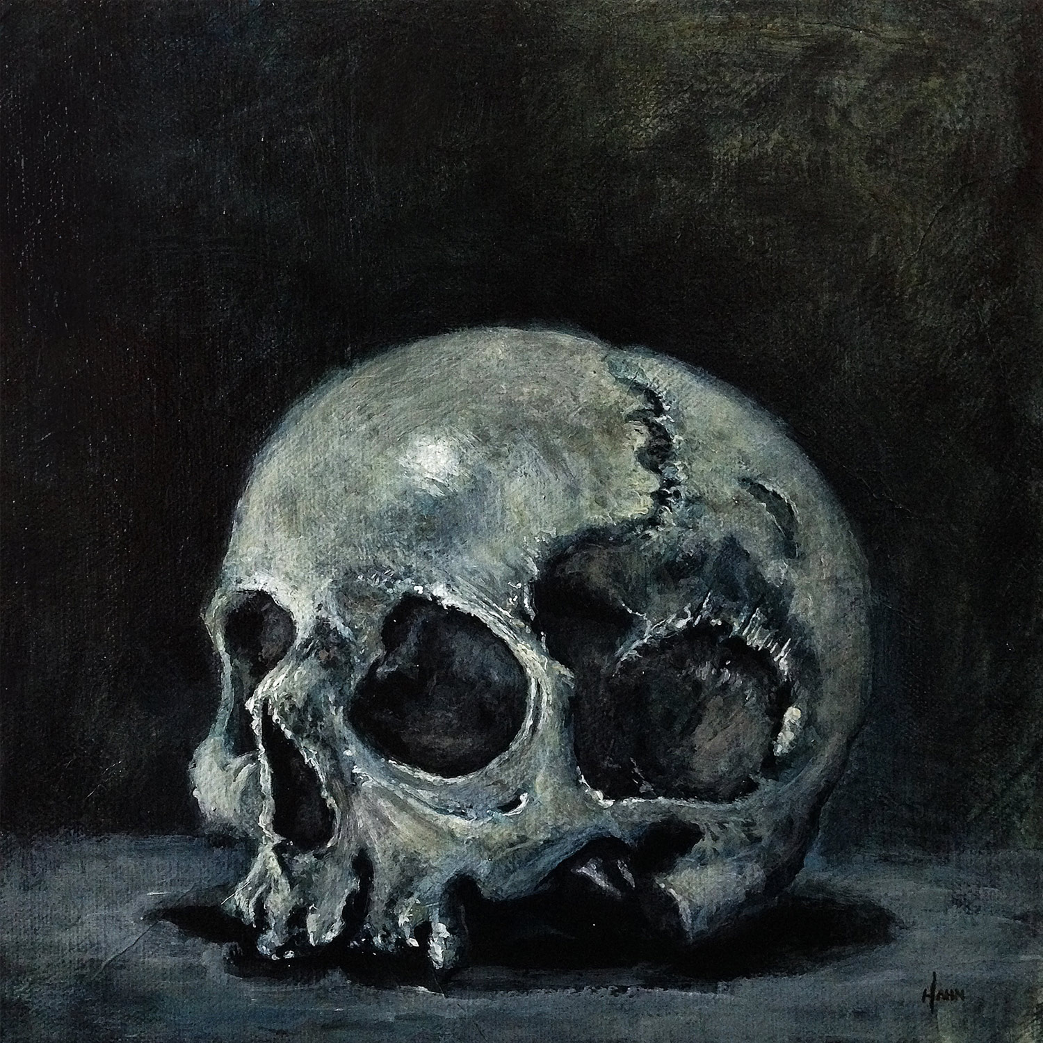 Skull Study